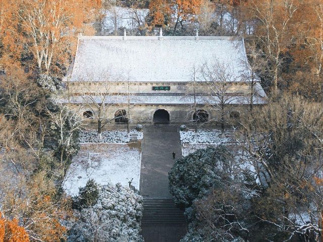 雪後的南京美成了水墨畫