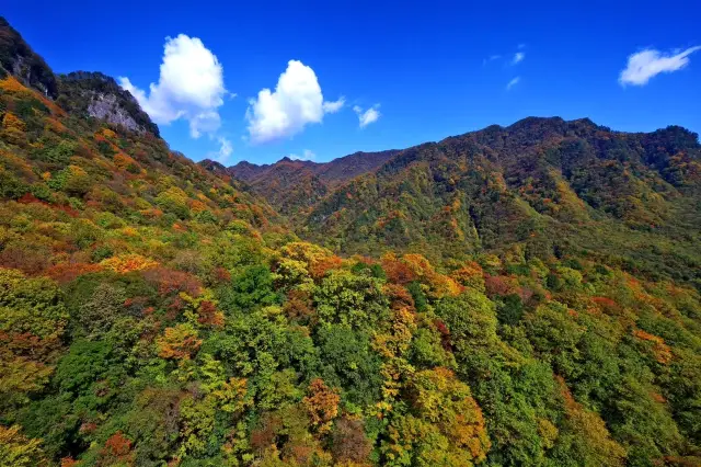 สี่ฉานบาซุง | สนุกกับฤดูใบไม้ร่วงที่ภูเขากวางหมอก