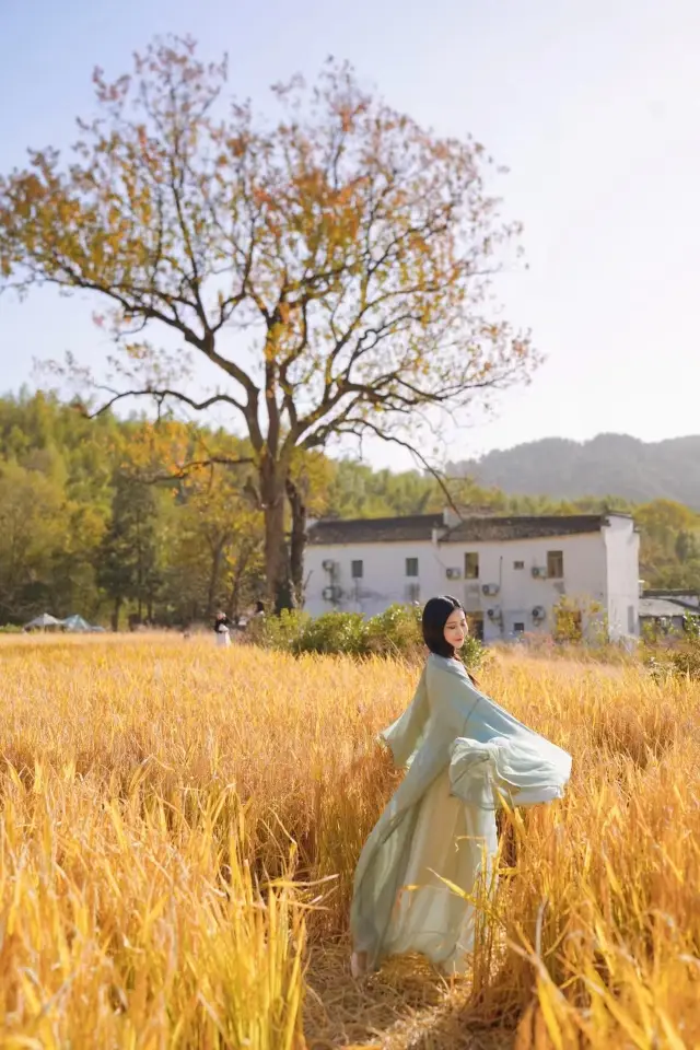 Don't miss the autumn in Tachuan | Attached shooting location