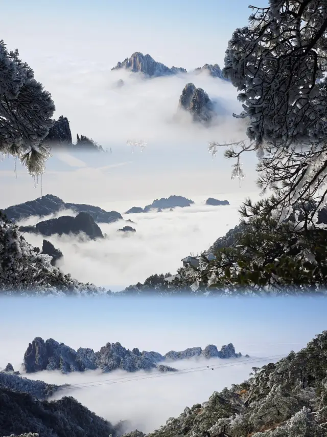 黃山雲海||