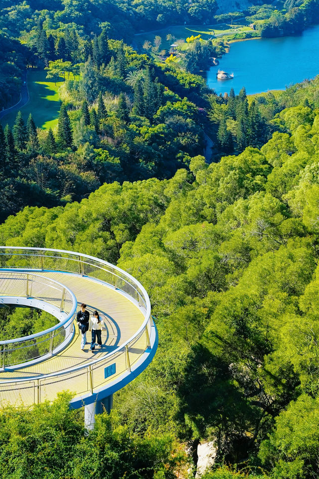 厦門必打卡！林海線  | 俯瞰山海的浪漫