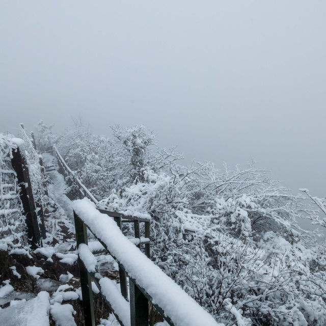 美哭 下雪天的北高峰宛若仙境