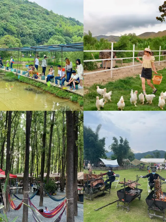 深圳農家樂團建好去處|秋日DIY美食