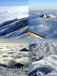 不是爾濱去不起，而且武功山雪景更有性價比