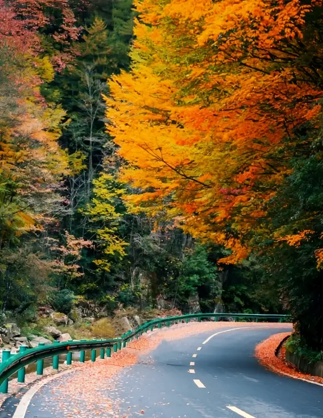 빛안개산을 청소하면서, 이 5곳에서 사진을 찍는 것이 너무 아름답다고 생각했습니다