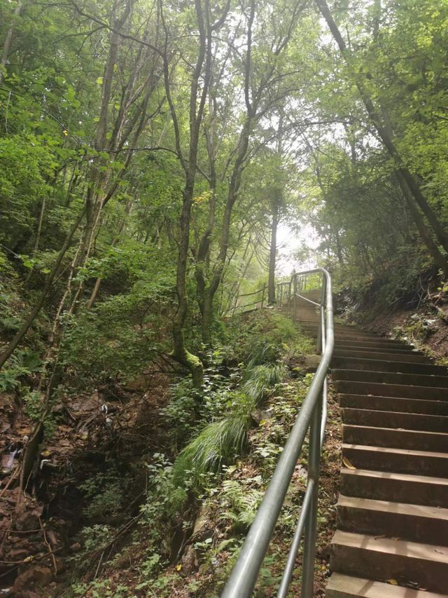 踏入原始森林，遊山玩水好地方 ‖ 玉龍溪大峽谷