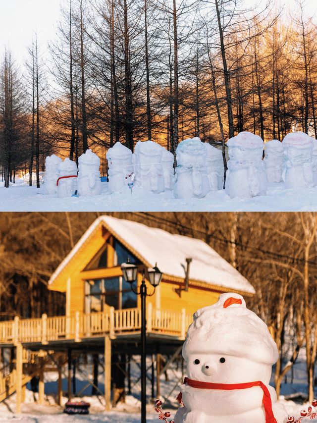 千萬別錯過打卡哈爾濱超美雪地小木屋