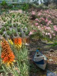 成都 成都植物園 ｜天然氧吧，森系寶藏公園