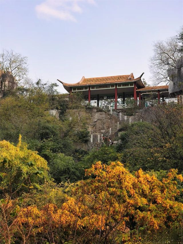 泡泡ooO 南溪山公園（大門）關注桂林|藏在市區裡的百花園香飄