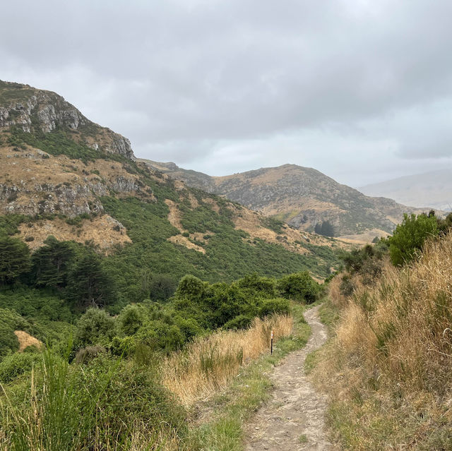 Explore City and Nature in Christchurch!