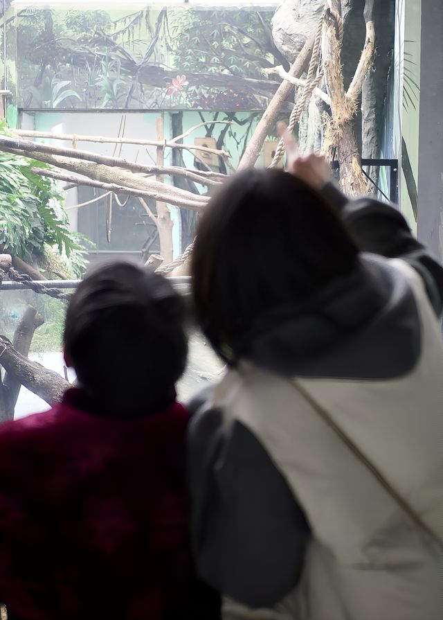 雨天的成都動物園｜神奇動物在哪裡