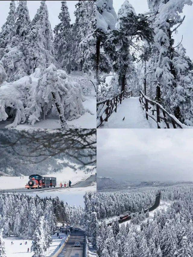 重慶仙女山 保母級旅遊攻略帶你暢玩仙女山