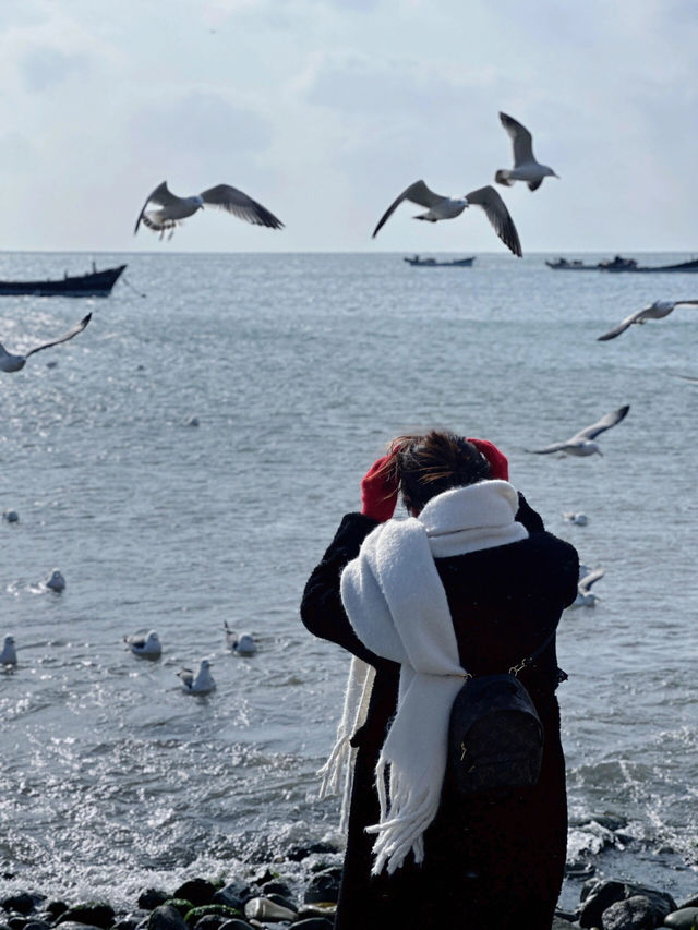 大連冬天來大連玩,千萬別去這些地方 大連冬天來大連玩,千萬別去這些地方