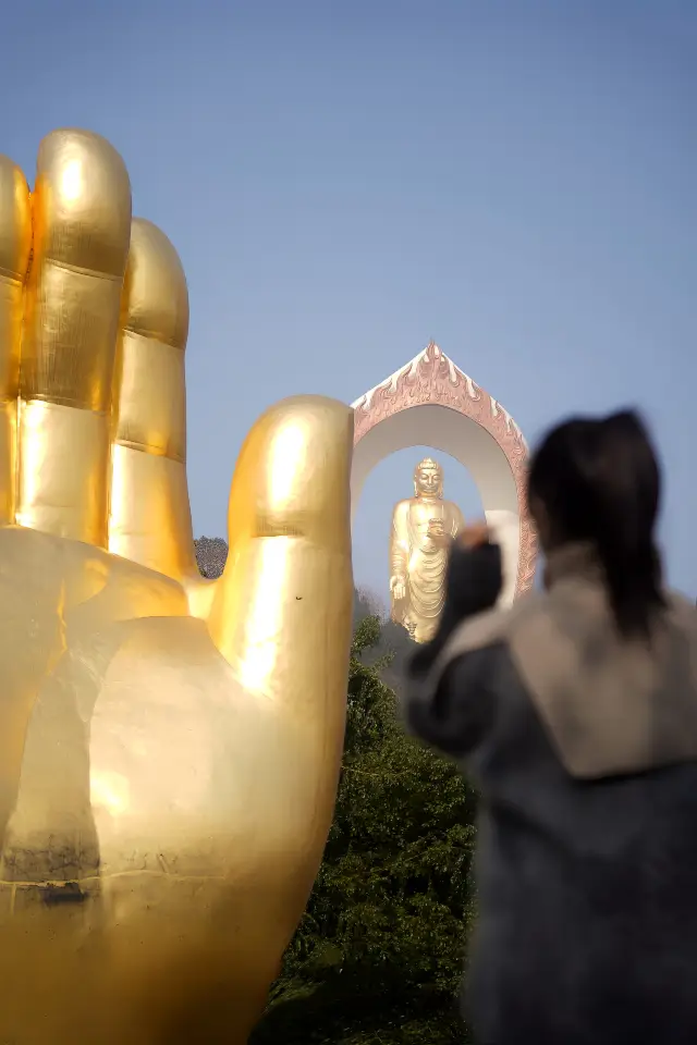 東林大仏のエネルギーは本当に強く、新年の祈りのガイド