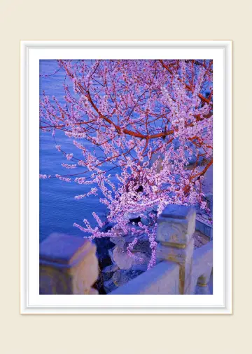 人生建議：北京3月，一定要去一次頤和園