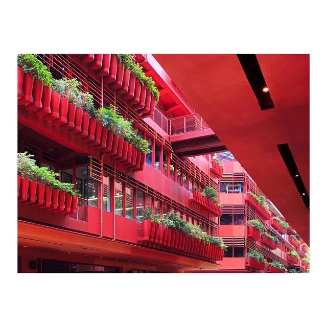 恒基·旭輝天地｜魔都一抹紅