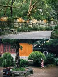 國清寺|國內最值得去的寺廟溯源千年清雅