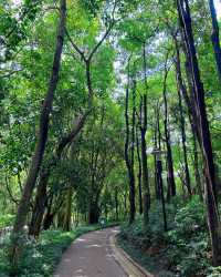 治癒系公園，至少有超大草坪，除非我打開的方式不對？