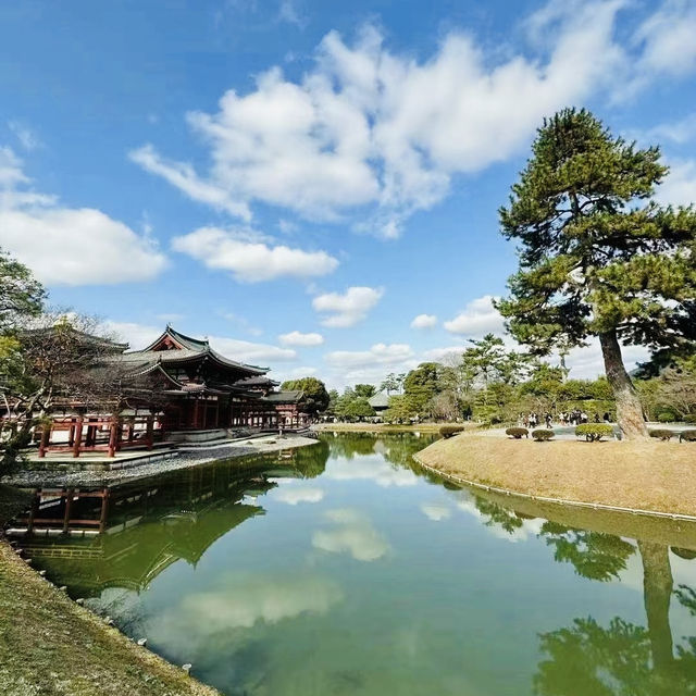 打卡日本宇治平等苑