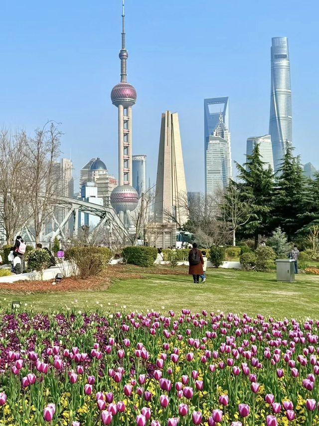 上海的春天已經next level啦（附攻略）