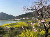 誤入大冶沼山，結果～