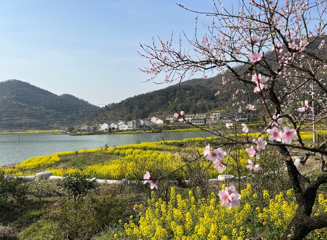 誤入大冶沼山，結果～