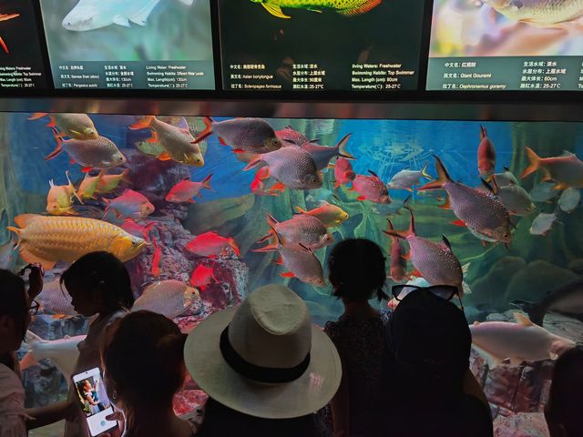 上海海洋水族館