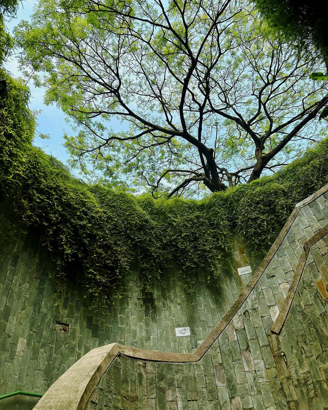 驚人的發現！新加坡福康寧公園，你絕對不能錯過