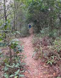 珠海黃楊山森林公園：戶外探險與徒步旅行的理想去處！