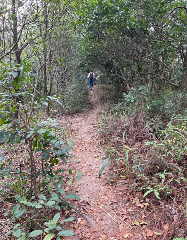 珠海黃楊山森林公園：戶外探險與徒步旅行的理想去處！