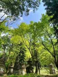龍崗區｜小張家界｜鵝公髻