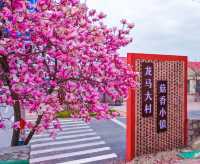 春天到大村賞花吧