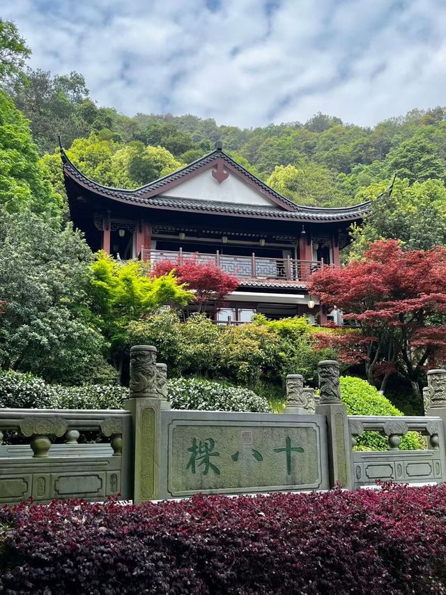 十里琅珰實拍上春山，龍井問茶