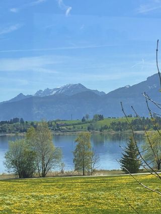 When you take a train in Germany during spring, you will see such scenes