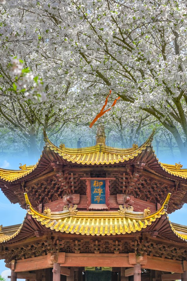 杭州1小時直達‖藏著這個冷門浪漫看海小城～
