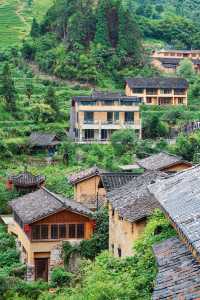 五一出遊好去處麗水雲和梯田