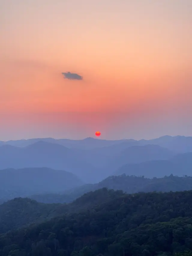 【푸얼, 한가로운 여행】🌴🍵