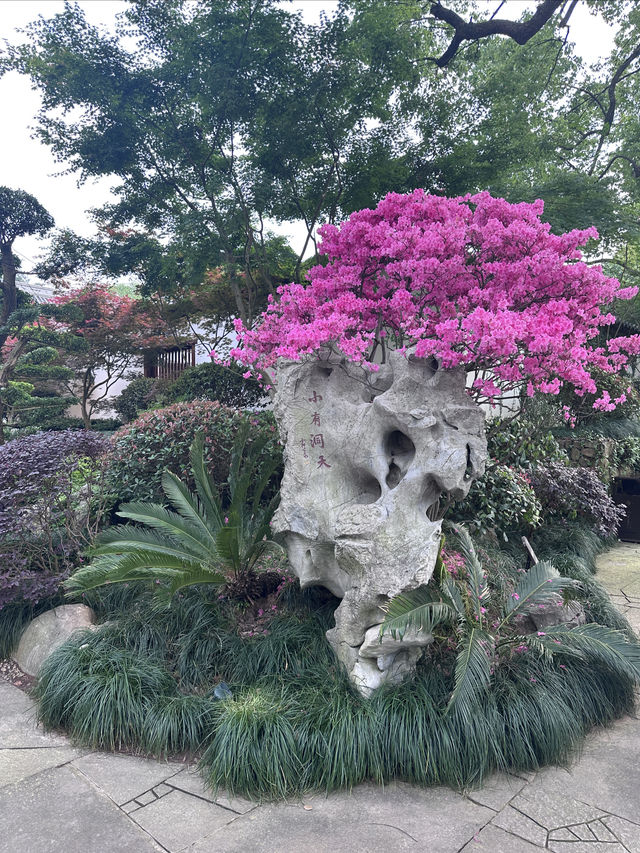 杭州的千年古刹|淨化心靈的淨慈寺