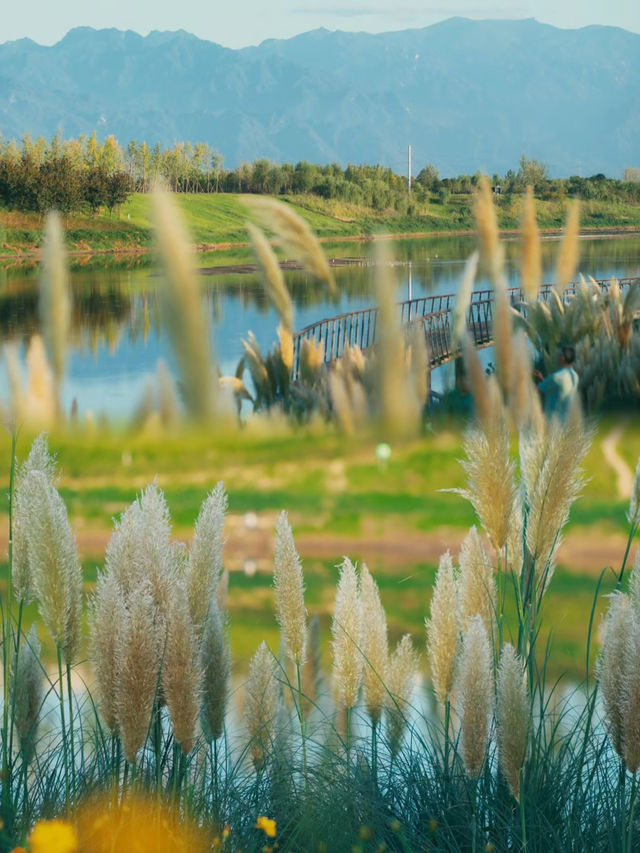 在西安,去一百次都不會膩的寶藏公園 在西安,去一百次都不會膩的寶藏公園