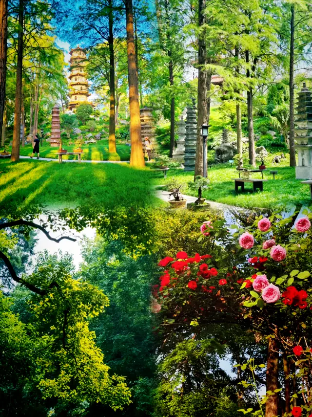 Hubei•Wuhan | A three-day tour, an unforgettable travel guide