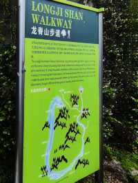 必須告訴你寶藏徒步路線龍脊山，尽享林木之美、山巒之秀！