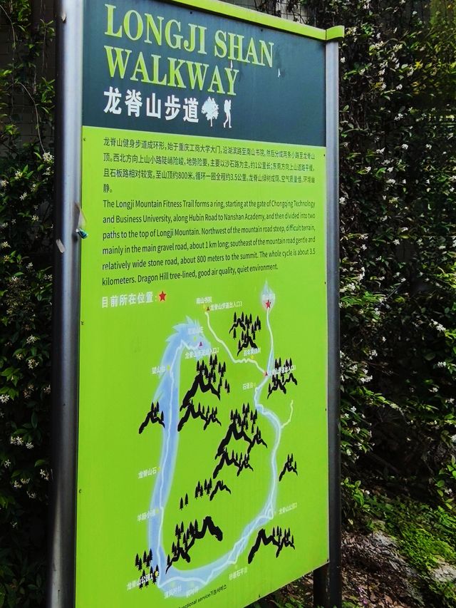 必須告訴你寶藏徒步路線龍脊山，尽享林木之美、山巒之秀！