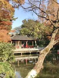 美麗上海紅園風景