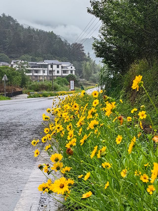 【江西美景】在上堡梯田感受最美田園