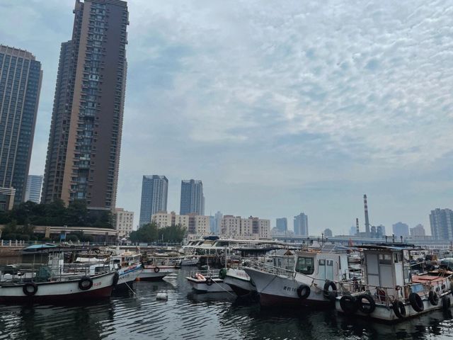 陵水富力灣|不過百就能實現帆船出海
