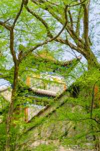 安徽小眾徒步好去處，皇藏峪國家森林公園