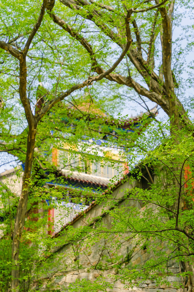 安徽小眾徒步好去處，皇藏峪國家森林公園