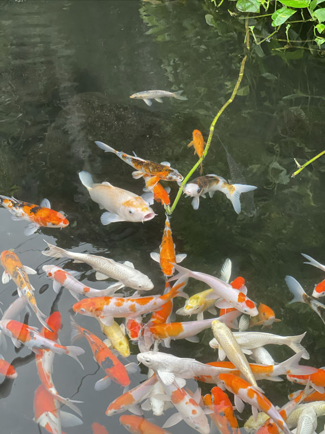不可錯過的泰國·芭提雅·海底世界