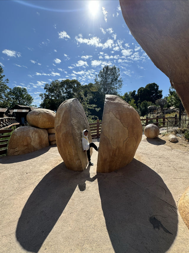 San Diego Safari Zoo