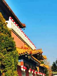 鞍山玉佛苑‖佛教祈願聖地